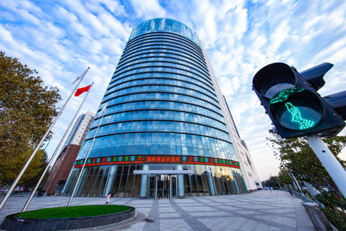 聚焦河南自貿五周年 自貿區(qū)政策賦能，鄭商所將新設商品交易中心